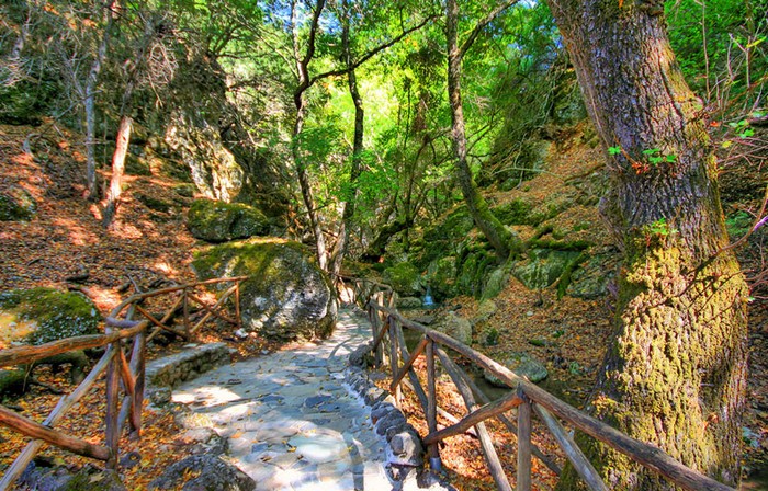 Valley of Butterflies, Rhodes